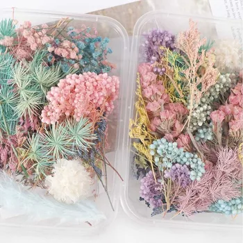 1 Cutie de Real, Flori Uscate, Plante Uscate pentru Aromoterapie Lumânare Rășină Epoxidică Pandantiv Cadru Plutitoare Sticla Face Ambarcațiuni DIY Dotari