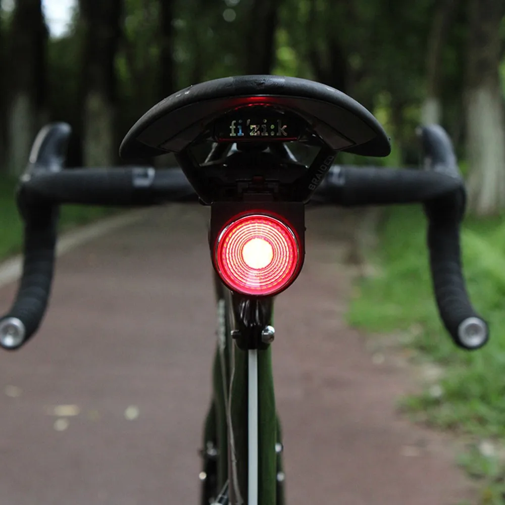 abstract scam Counsel Biciclete Inteligent Stop Antifurt-alarma Bicicleta Lumina Anti-furt Din  Spate Lumina De Ciclism Lumina Lanterna Faruri De Biciclete Accesorii  Biciclete ~ Accesorii Pentru Biciclete | Denimdistribution.ro
