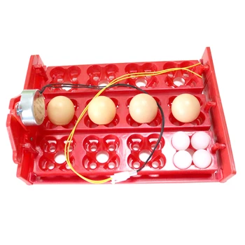 12 Ouă /48 Păsări Eggstray Automata Incubator Automat Rândul Său, Ouă De Găini Rațe, Prepelițe Porumbel Avicultura Echipament