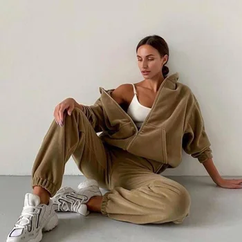 Casual Femei Fleece Hoodie Două Seturi De Piese Hanorac Cu Fermoar Articole De Îmbrăcăminte Exterioară Și Harem Gâfâi Costum Toamna-Iarna Moda Streetwear Trening